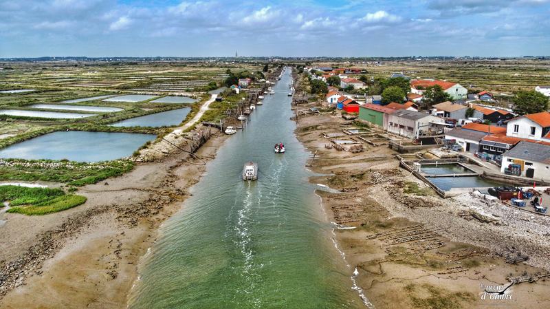 La rentrée des bateaux à Marennes