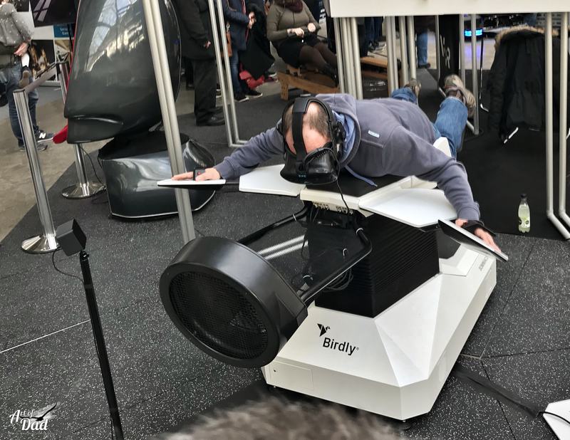 Voler comme un oiseau en univers virtuels